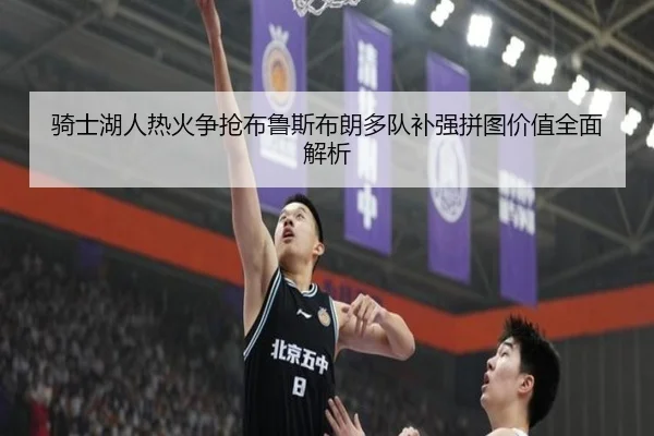 骑士湖人热火争抢布鲁斯布朗多队补强拼图价值全面解析